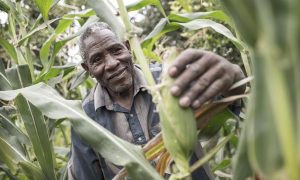 Small Scale Farmer In Kenya